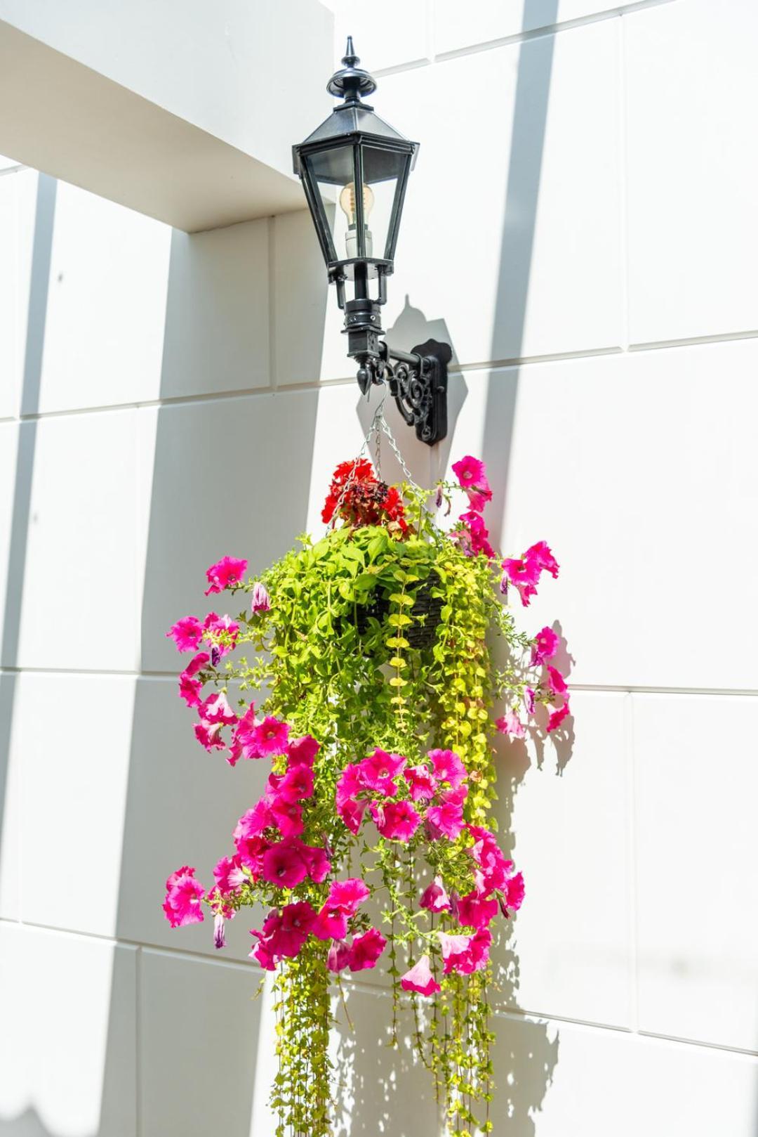 Grapelli Boutique Hotel Alkmaar Dış mekan fotoğraf